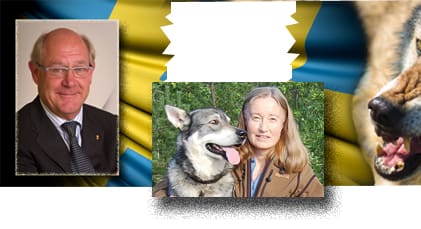 Hur värna jakten? Solveig Larsson, ordförande i Jägarnas Riksförbund, konstaterar att Vargkommitténs ordförande, Peter Egardt, inte lämnat några förslag om hur jakten ska värnas i vargfrågan.