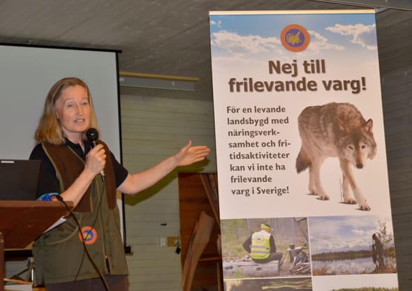 Solveig Larsson, ordförande för Jägarnas Riksförbund, konstaterar att både vargpolitiken och den nya Vargkommittén har havererat. Förbundets fortsatta nej till frilevande varg i Sverige är enda vägen framåt.