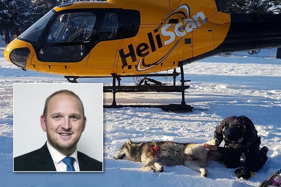 Jon George Dale, Fremskrittspartiet, vill gps-märka alla vargar i Norge för att dämpa konflikerna kring vargen.