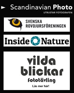 Scandinavian Photo är en stor aktör i fotobranschen. Företaget sponsrar Rovdjursföreningen.