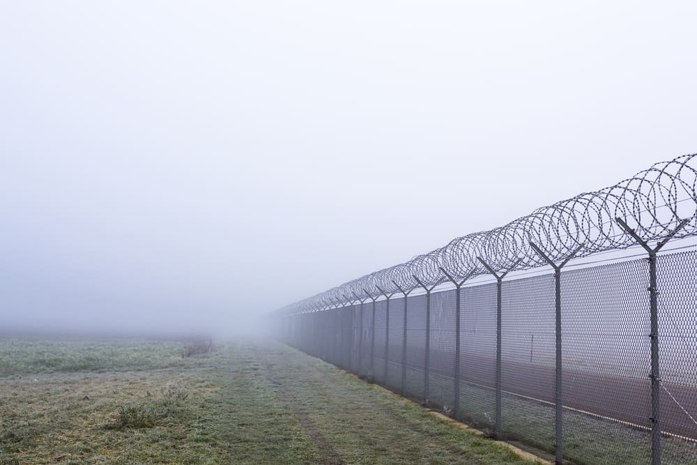 Vilda djur tar sig inte förbi stängsel som satts upp i Europa och Centralasien.