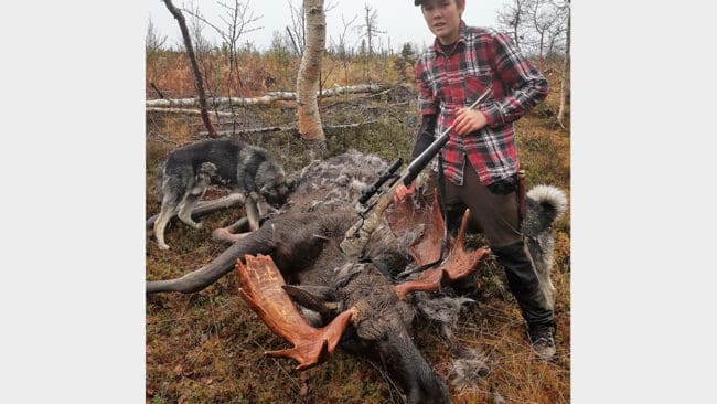 15-årige Albin Brenje från Storåbränna sköt tidigare i höstas en björn. I förra veckan kunde han fälla en älgtjur med 20 taggar under uppsiktsjakt.