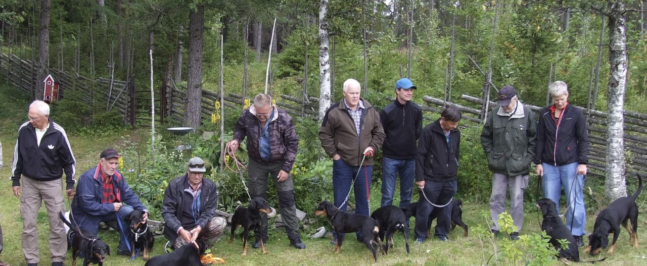 Stövarklubbens styrelse föreslår nya regler som man hoppas ska få ekonomi i utställningsverksamheten. Hundar som startas på drevprov måste ha varit på utställning.