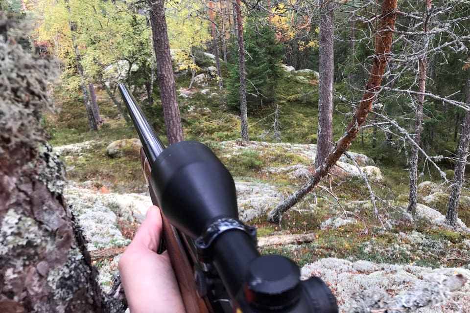 103 av 300 björnar i de sju länen med licensjakt har fällts sedan i onsdags, enligt de rapporter som noterats hos SVA. I Västerbotten är björnjakten stoppad till älgjakten startar sedan elva björnar av 21 fällts.
