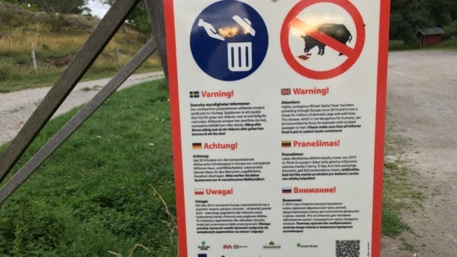 Nu har skyltarna som på flera språk varnar för afrikansk svinpest också börjat dyka upp på svenska rastplatser.