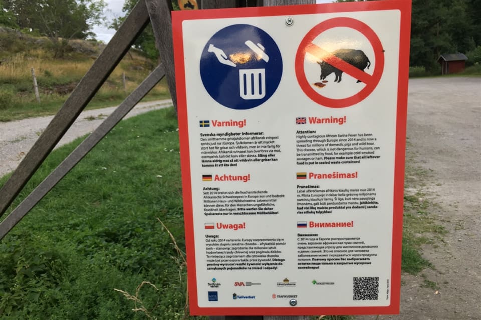 Nu har skyltarna som på flera språk varnar för afrikansk svinpest också börjat dyka upp på svenska rastplatser.
