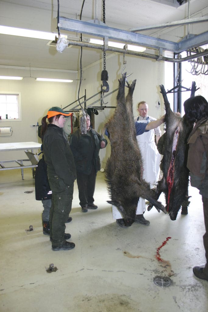 Svenskt Viltkött, branschorganisationen för Sveriges cirka 140 vilthanteringsanläggningar, kämpar för att stoppa att jägarna ska kunna avyttra vildsvinskött som inte passerat en vilthanteringsanläggning.