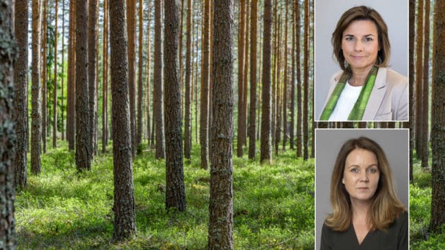Miljö- och klimatminister Isabella Lövin tycker att det ska löna sig för markägare att värna allmänna intressen, och landsbygdsminister Jennie Nilsson att förtroendet mellan skogsägare och myndigheter behöver öka.