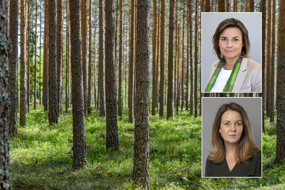 Miljö- och klimatminister Isabella Lövin tycker att det ska löna sig för markägare att värna allmänna intressen, och landsbygdsminister Jennie Nilsson att förtroendet mellan skogsägare och myndigheter behöver öka.