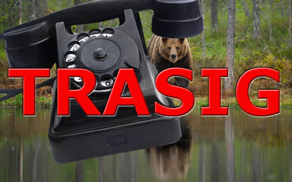 Björntelefonen har gått sönder i Gävleborg. Jägarna uppmanas att ringa numret för fälld björn eller direkt till naturbevakarna.