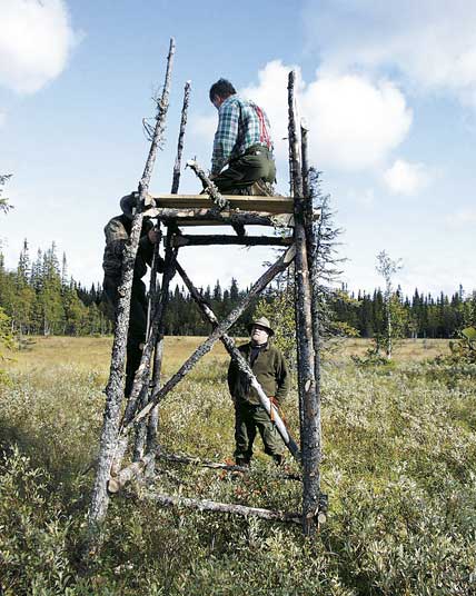 Junibestyr i jaktmarkerna. Nya jaktpass skall planeras och byggas, andra bara rustas och skottröjas.