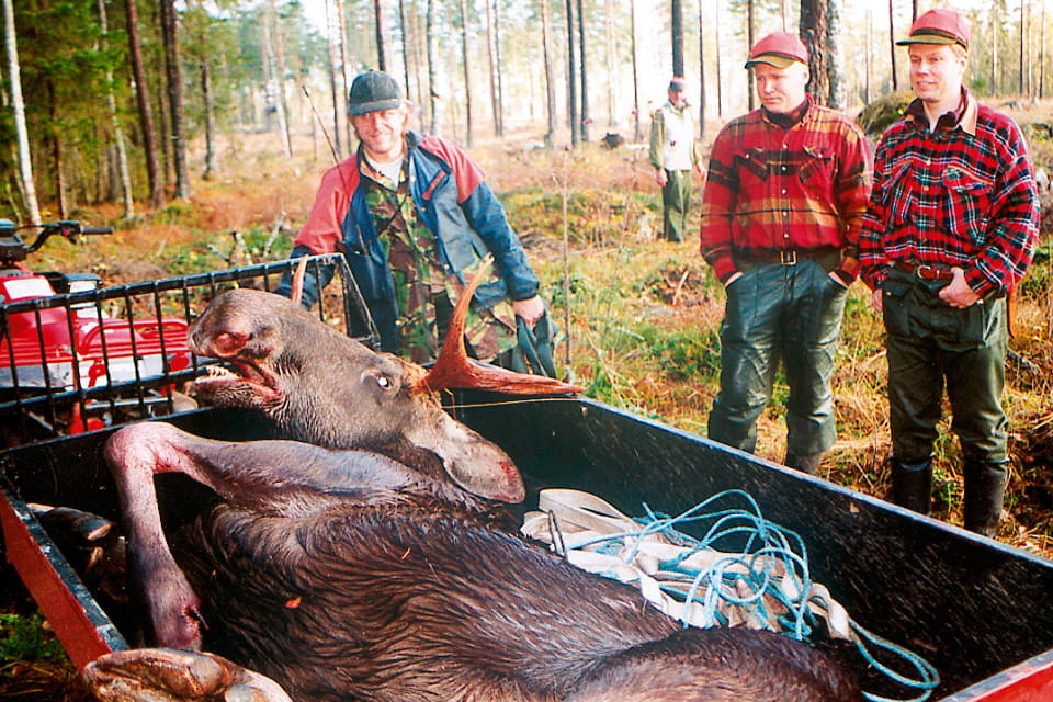 Förvaltningsrätten säger nej till att tillfälligt stoppa beslutet att bilda det nya, jättelika Ödmårdens älgförvalntingsområde i Dalarna-Gävleborg.