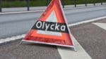 En ettårig björnunge hittades påkörd och död på länsväg 272 i Hälsingland