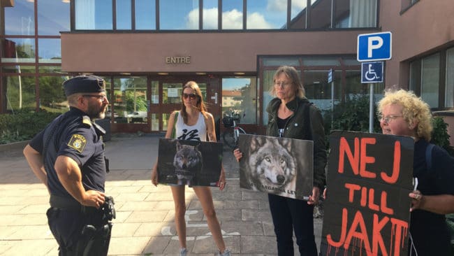 Endast tre deltagare från Djurens revolt var på plats klockan 13 utanför länsstyrelsen i Västerås för att protestera mot den kommande licensjakten på varg.