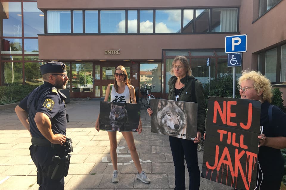 Endast tre deltagare från Djurens revolt var på plats klockan 13 utanför länsstyrelsen i Västerås för att protestera mot den kommande licensjakten på varg.