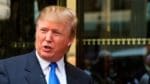 Donald Trump underlättade för vargjakten i USA, nu hoppas amerikanska vargvänner på en återgång till den tidigare regleringen.