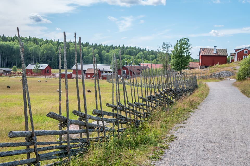 Stiftelsen Tyrestaskogen ansökte om bidrag till rovdjursavvisande stängsel redan för två år sedan, men fick nej. Nu ska de göra en ny ansökan, men tycker inte att det ska utföras någon skyddsjakt.