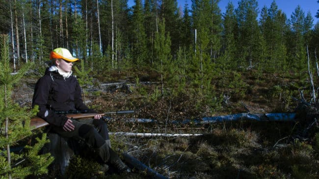 Om kommunen arrenderar ut jaktmark kan det bli lättare för unga jägare att komma upp i de 50 hektar mark som krävs för en jakträtt, menar Årjängspolitikern Anette Eriksson (C). (arkivbild)