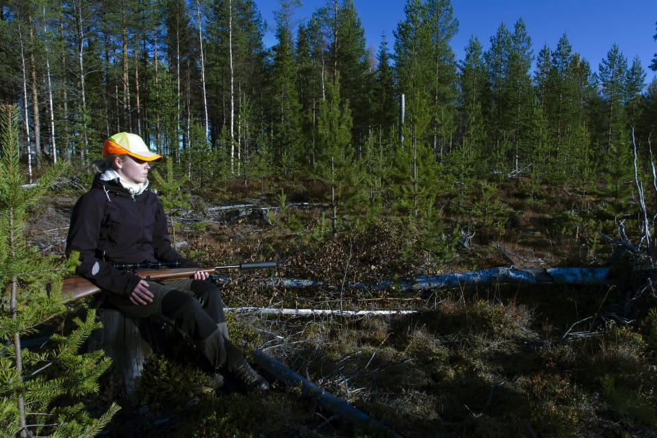 Om kommunen arrenderar ut jaktmark kan det bli lättare för unga jägare att komma upp i de 50 hektar mark som krävs för en jakträtt, menar Årjängspolitikern Anette Eriksson (C). (arkivbild)