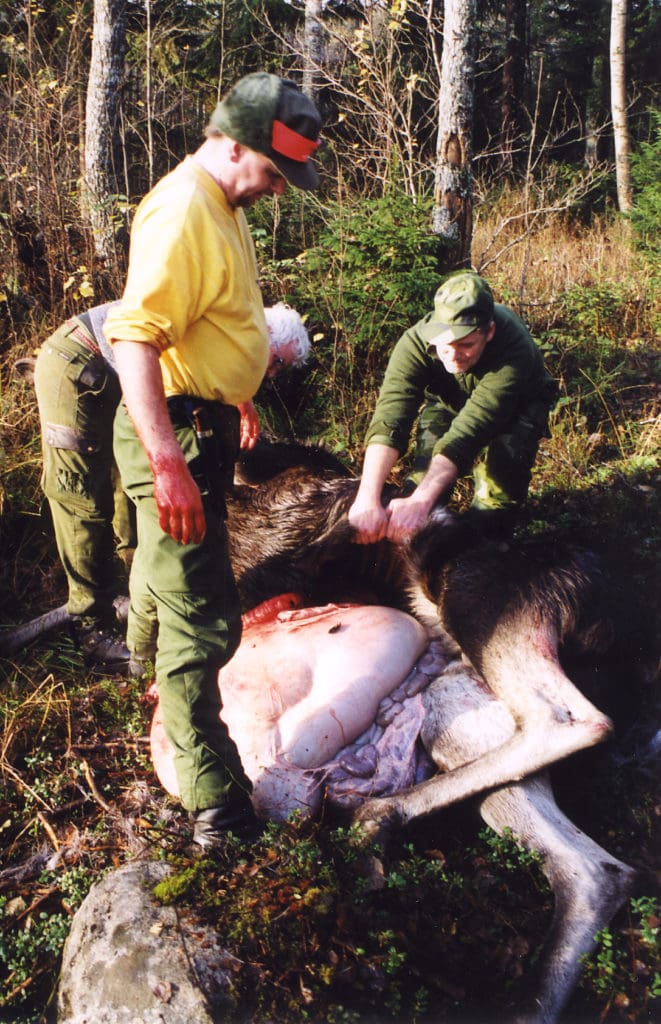 Lagförslaget kan tolkas som att resterna efter urtaget vilt i skogen måste grävas ned. Orimligt, tycker Jägarnas Riksförbund, som kräver överläggningar om det luddiga förslaget.