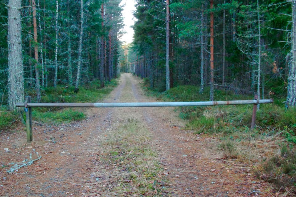 Förutom förstörda lås till vägbommar har ytterligare sabotageaktioner utförts av jaktsabotörer för att hindra licensjakten på varg i Kölstareviet, norr om Köping. (Arkivbild)