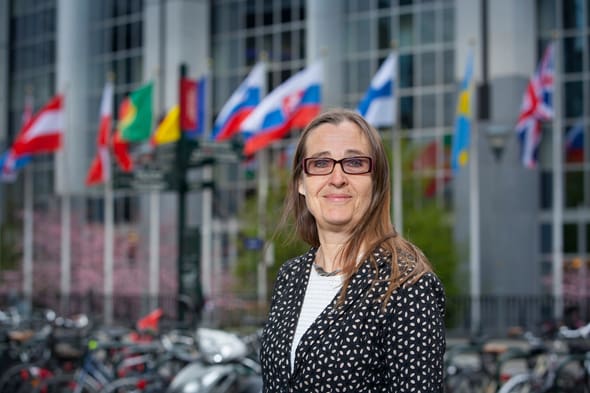 Bodil Valero är den svenska miljöpartisten som jobbar mot den svenska regeringen för att få hårdare vapenlagar än vad till och med EU-kommissionen föreslagit. Bland annat vill hon införa licenser för patronmagasin och kräva intelligenstest av alla vapenköpare.