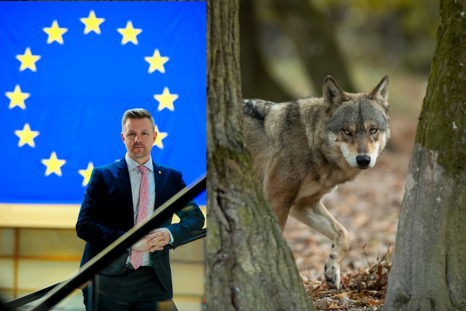 EU-parlamentarikern Fredrick Federley har lobbat och försökt påverka riktlinjerna för hur artskyddet ska tolkas i art- och habitatdirektivet.