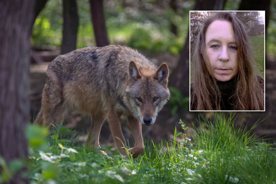 Krönikören Lisa Kiderud är intresserad av jakt- och landsbygdsfrågor och har startat Facebookgruppen ”Vi som stödjer Karl Hedin”.