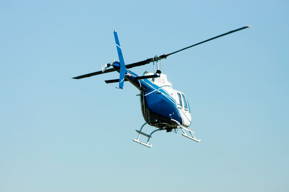 Vargtiken som avlivades av länsstyrelsens personal i Jämtland från en helikopter i mars har visat sig vara ”genetiskt värdefull”. (Arkivbild)