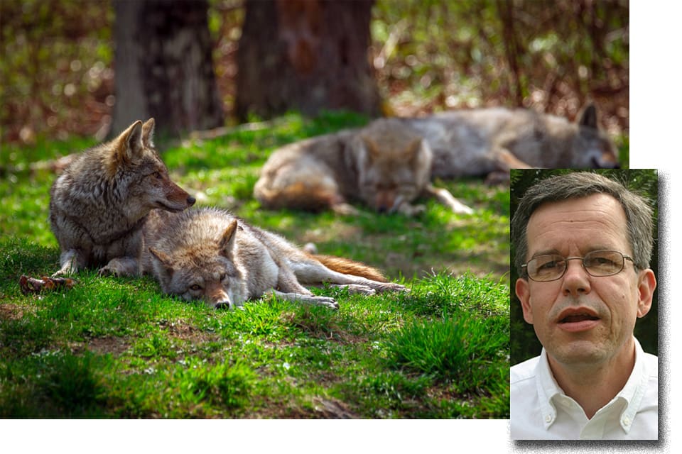 Anders Wetterin, LRF:s expert på jakt- och viltfrågor. Förbundets styrelse säger nej till att krav på ersättning för förlorad jakt skrivs in i rovdjurspolicyn.