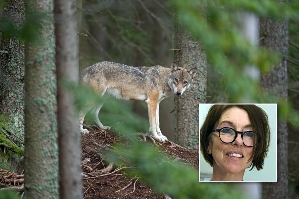 En myndighet går inte ut offentligt och slår en enskild medborgare på fingrarna för att han har utnyttjat sin yttrandefrihet, skriver Gölin Carina Christiansen.