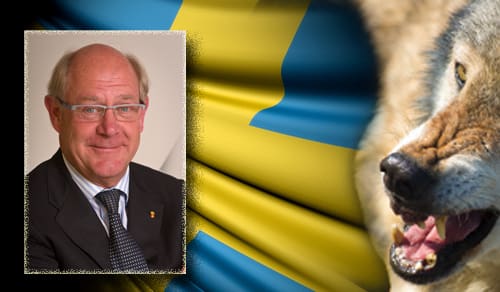 Peter Egardt varnar för att Naturvårdsverkets beslut om hur vargreviren ska fördelas undergräver Riksdagens beslut.
