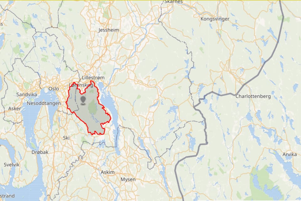 I Östmarkareviret strax utanför Oslo har det i år fötts minst två valpar.