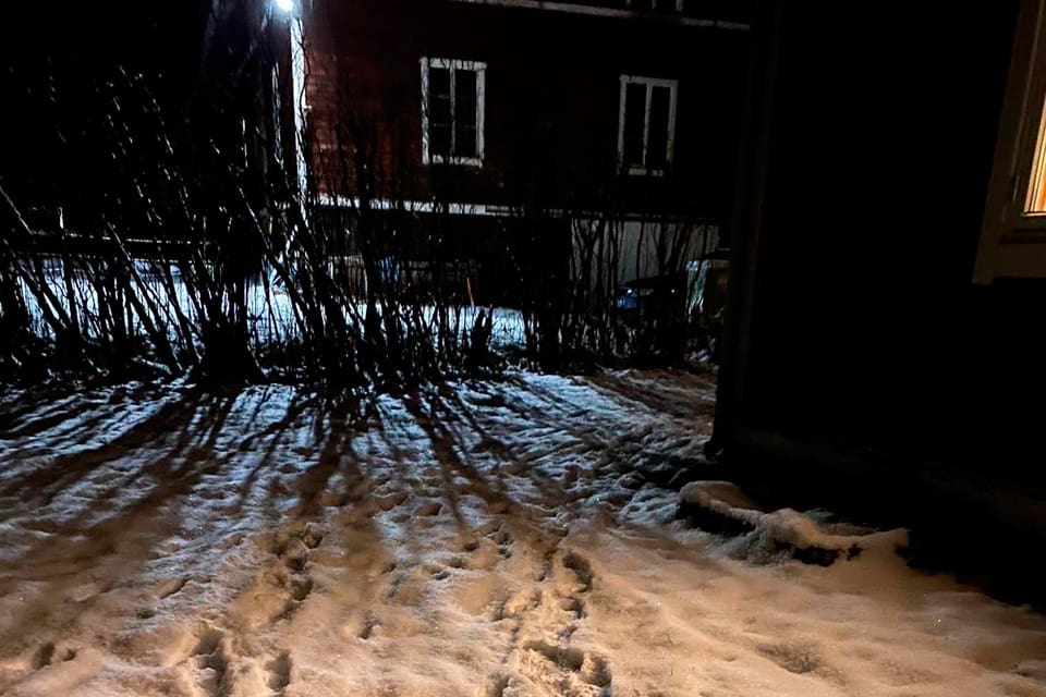 Den sjätte och sista vargen på kvoten för Ryssjönreviret är fälld. Men det har spårats tre vargar till i jaktområdet. Även i närheten av Andånområdet verkar det ha kommit in ett nytt vargpar som besökt en gård i Holmo.