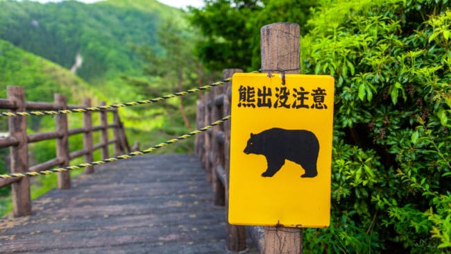 Halvön Shiretoko är känd för att hysa Japans största björnpopulation. Större delen av halvön kan bara nås till fots eller med båt.