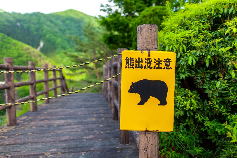 Halvön Shiretoko är känd för att hysa Japans största björnpopulation. Större delen av halvön kan bara nås till fots eller med båt.
