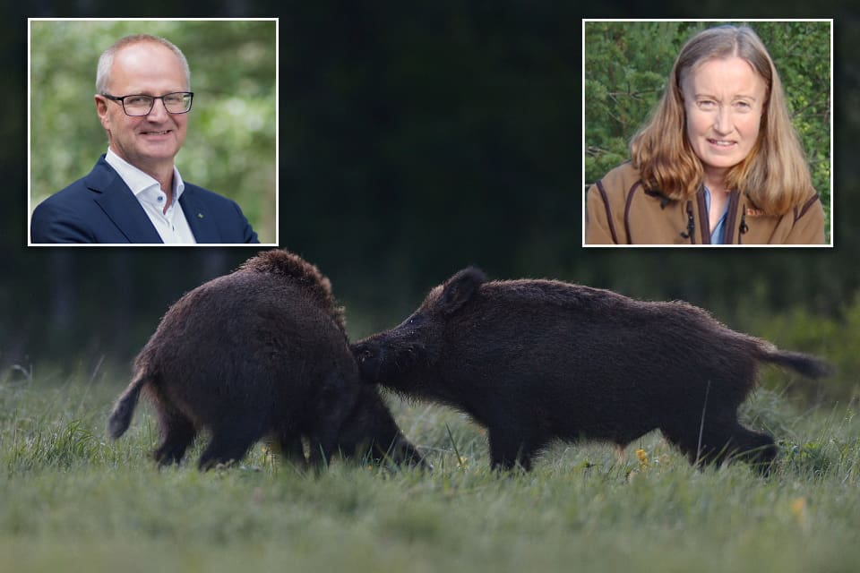 Palle Borgström och Solveig Larsson säger att LRF och JRF gärna samarbetar i framtiden.
