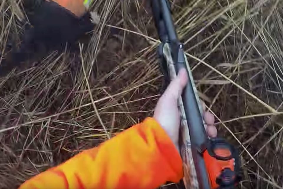 Leif Fredriksson, med över tusen fällda vildsvin, skjuter en attackerande galt på en meters avstånd i ett tätt vassparti inför en miljonpublik hos Fieldsports Channel, som gjort ett reportage vid Tidö slott utanför Västerås.