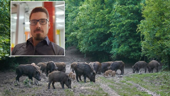 Axel Sannö är forskare och veterinär och dessutom en entusiastisk jägare. Nu hoppas han att information om den farliga salmonellatyp som sprider sig når ut bland befolkningen.
