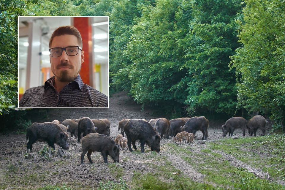 Axel Sannö är forskare och veterinär och dessutom en entusiastisk jägare. Nu hoppas han att information om den farliga salmonellatyp som sprider sig når ut bland befolkningen.