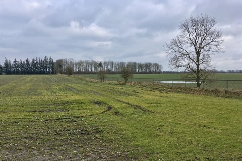 Så här är det tänkt att vildsvinsstängslet mellan Danmark och Tyskland ska se ut när det står klart i november.