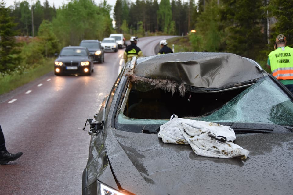 Alla platser där det skett en viltolycka markeras av eftersöksöksjägarna till en mobilapp som varnar förare, speciellt för vägsträckor där det skett många krockar med vilt.