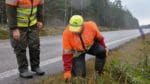 Trafikeftersöken i Skåne måste anpassas efter en situation med ett nyetablerat vargrevir, nu avråder polisen jägarna från att släppa sina hundar.