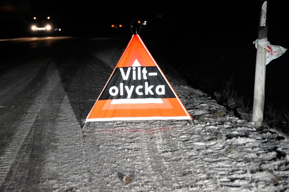 Oviljan mot jakt på kommunal mark i Falun ger onödigt många viltolyckor i trafiken. Den ansvarige för eftersök på trafikskadat vilt har förgäves uppvaktat de ansvariga i kommunen om att det behövs viltvårdsinsatser för att få bort viltet nära vägarna.