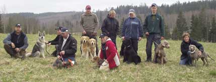 Några av ekipagen som deltar i kursen för viltspårhundar.