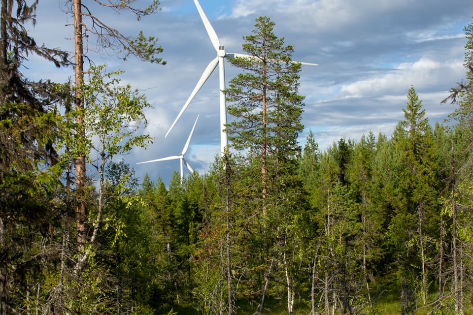 Forskaren i Sverige och Norge ska studera rörelsemönster hos GPS-försedda älgar, järvar och vargar i områden med vindkraft.