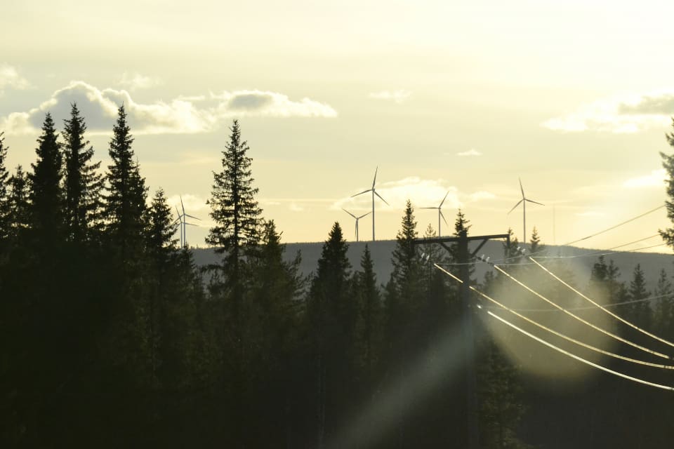 NJFF kräver bättre faktaunderlag för hur vindkraftsutbyggnaden påverkar mångfalden i naturen, friluftslivet och då särskilt jakt och fiske.