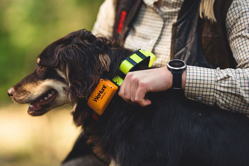 Nya hundpejlen GPS Plus från WeHunt visar jakthundens arbete i mobilen med WeHunt-appen. Förutom priset för pejlhalsbandet blir det en årlig kostnad på nästan 1 000 kronor för GPS-abonnemanget där Pro-versionen av WeHunt-appen ingår.