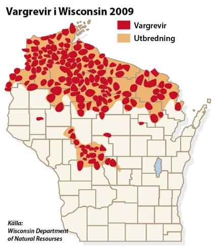 Så här såg vargsituationen ut i Wisconsin ut förra året. Staten är drygt en tredjedel så stor som Sverige och har 5,5 miljoner invånare. Nu begär staten (i likhet med Minnesota) att vargen tas bort från hotlistan.