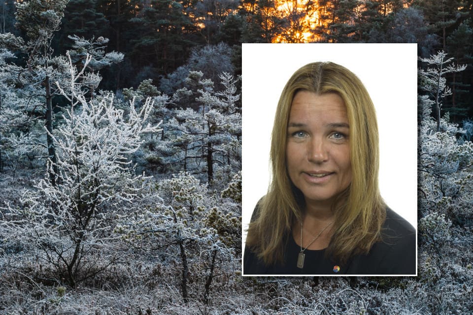 Anna-Caren Sätherberg har varit oppositionsråd i Åre och tidigare arbetat inom besöksnäringen.